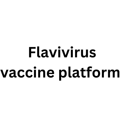 Flavivirus vaccine platform 